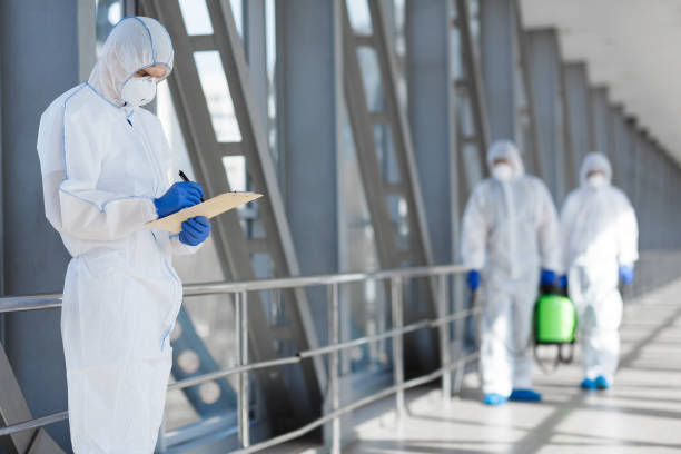 Best Emergency Mold Remediation  in Terrace Park, OH