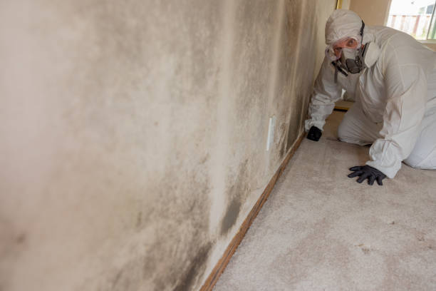 Best Dehumidification Services  in Terrace Park, OH