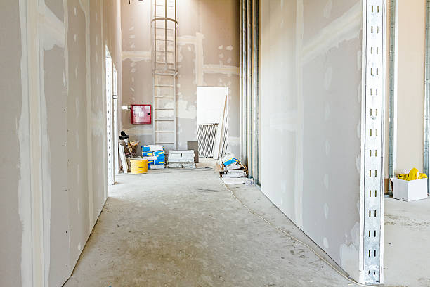 Best Air Quality Testing for Mold Spores  in Terrace Park, OH