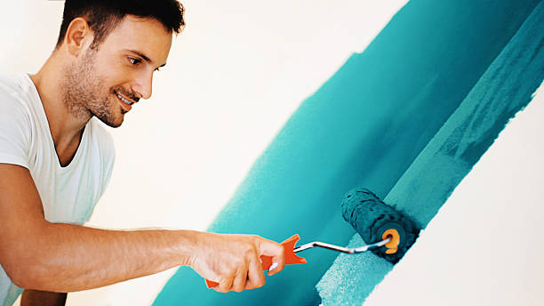 Best Mold Damage Restoration  in Terrace Park, OH