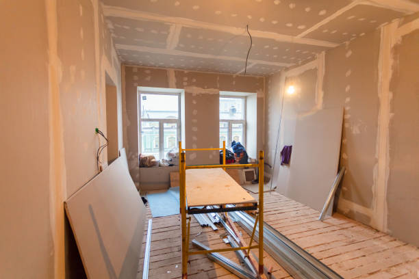 Best Mold Documentation for Insurance Claims  in Terrace Park, OH