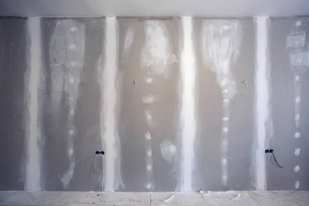 Best Asbestos and Lead Testing During Mold Inspection  in Terrace Park, OH